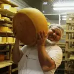 Сыроварение